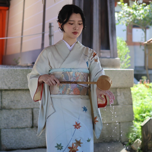 Silk visiting gown 高級正絹訪問着 (高級訪問服)プラン