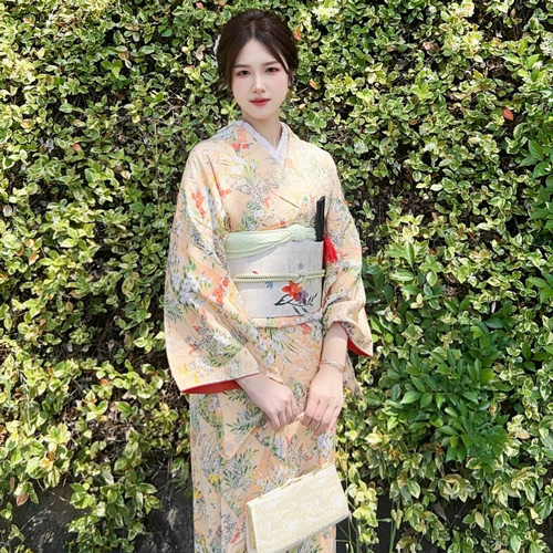 Fine silk kimono正絹小紋 (小紋和服)プラン